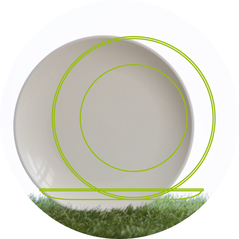 ecomanif_assiette_ronde_23cm